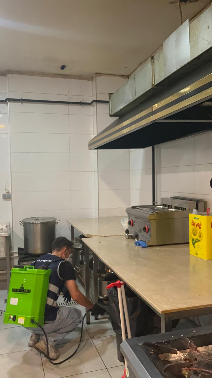 Balkan Haşere İlaçlama